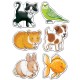 Orchard Toys Les Animaux Familiers