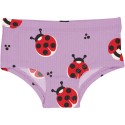 Culotte en coton biologique Maxomorra, motif coccinelle