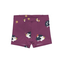 Boxer en coton biologique Maxomorra, motif hérisson 2026