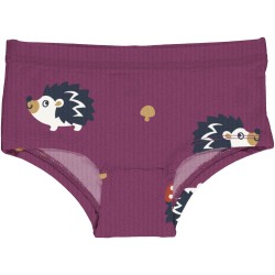 Culotte en coton biologique Maxomorra, motif hérisson 2026